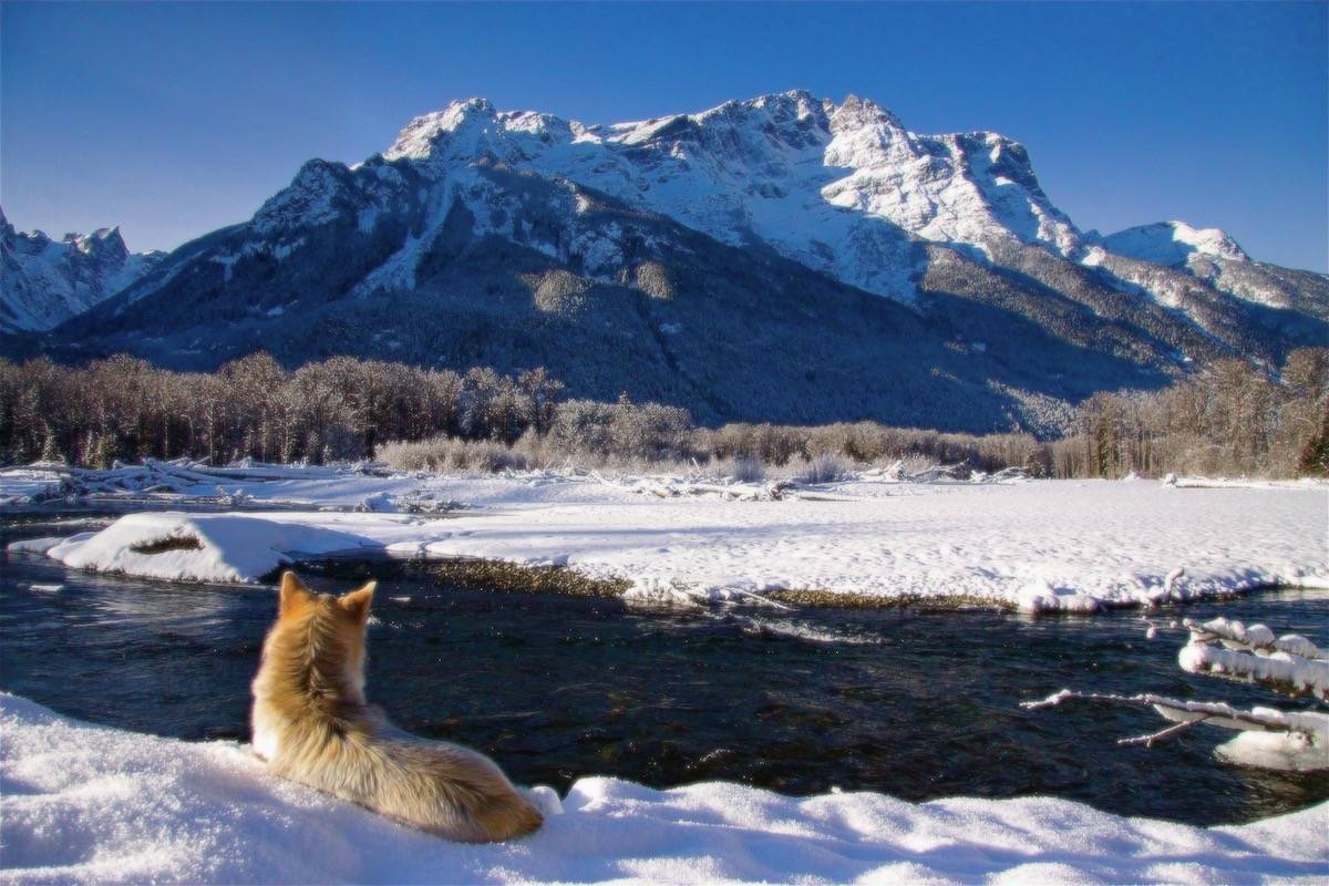 winter hike adventures Bella Coola