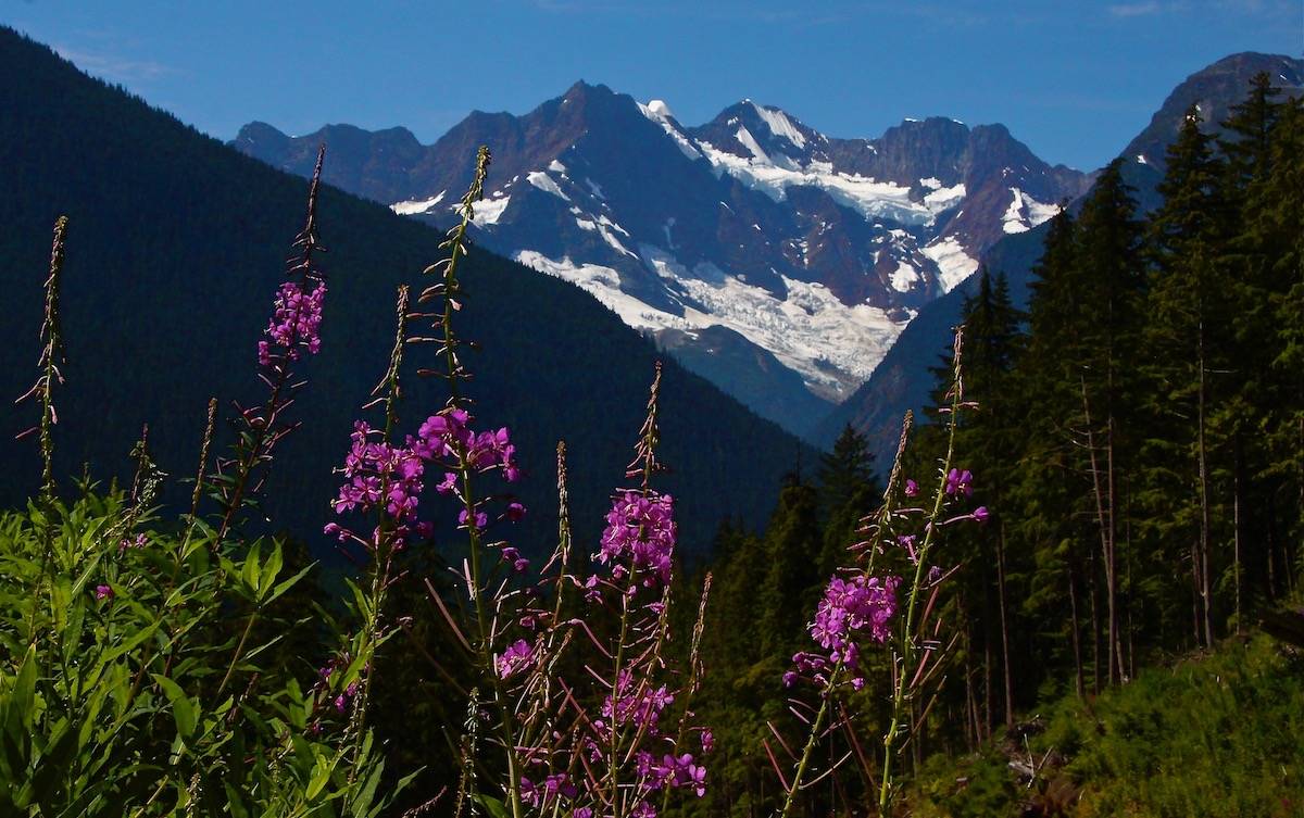 Blue Jay Lake Trail alpine hike Bella Coola