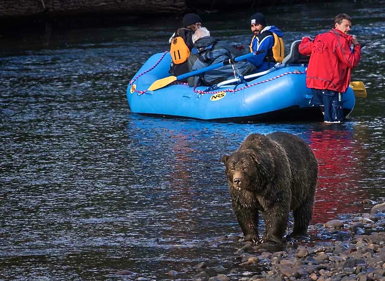 bear viewing river drift tours Great Bear Adventures